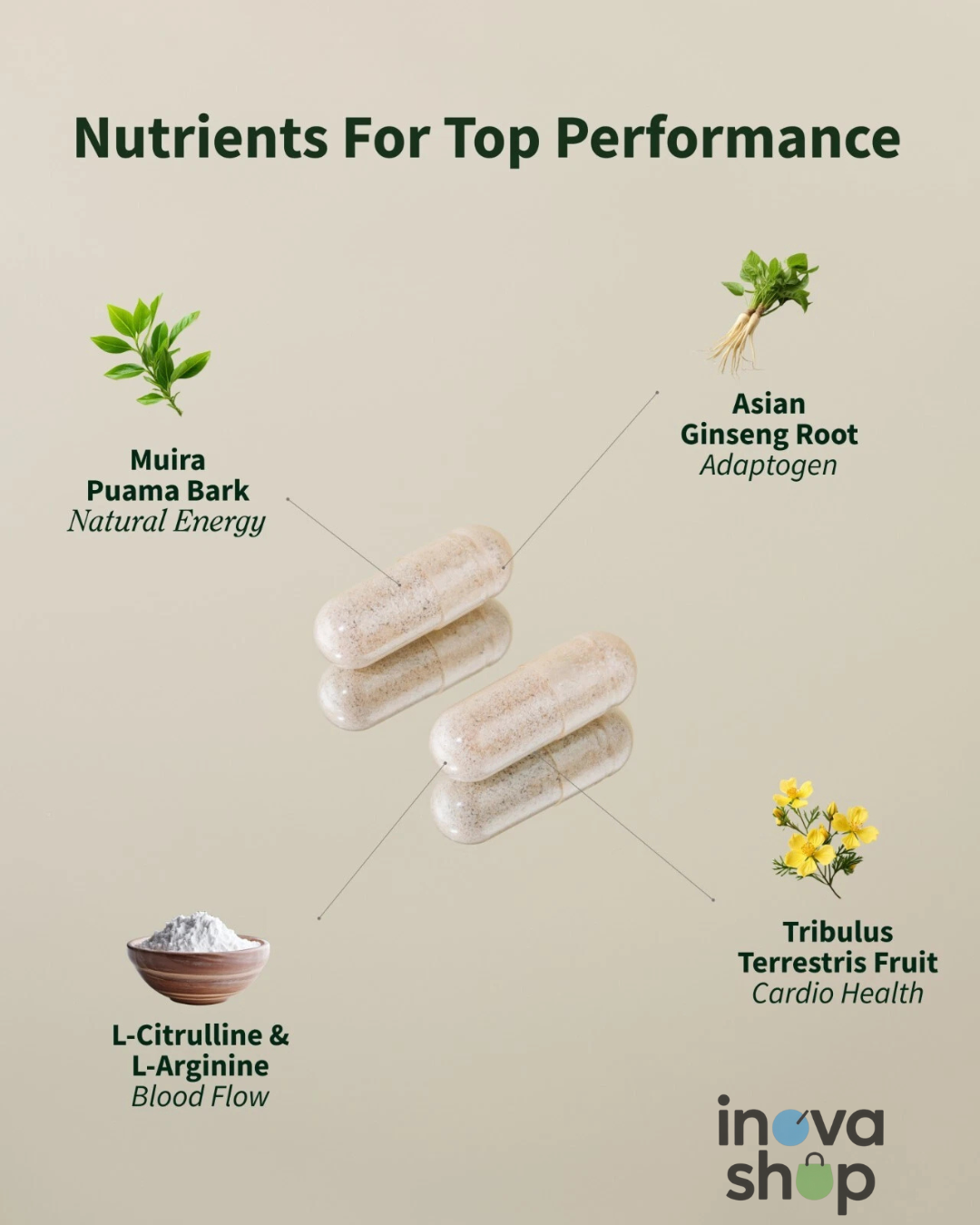 Potenciador natural de óxido nítrico
